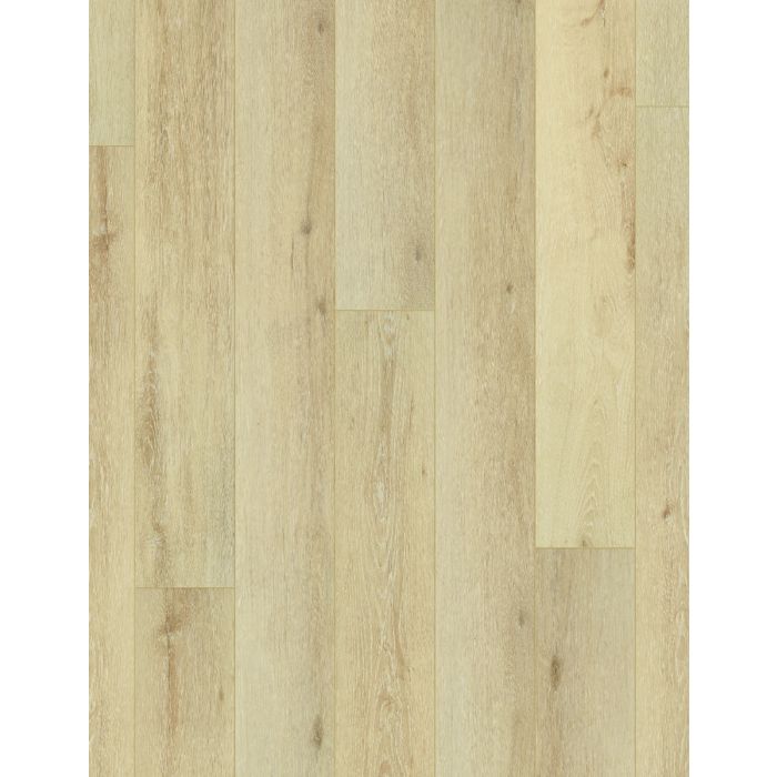 GRACIOUS OAK, 03105, CORETEC PLUS HD 7X60, VV806