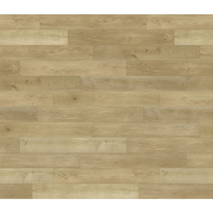 PARADIGM GUILD CON2041PAD CONQUEST COLLECTION
