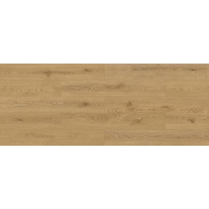 Megaclic Leeds MCDN-8706 — close-up plank, overhead view