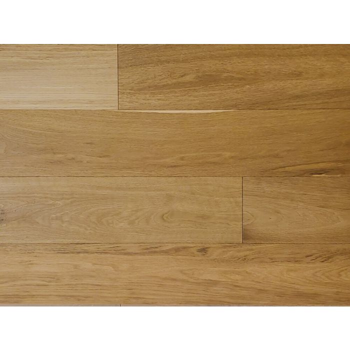 LUNETTE, CNLU004, CONTEMPO COLLECTION, BRAVADA HARDWOOD