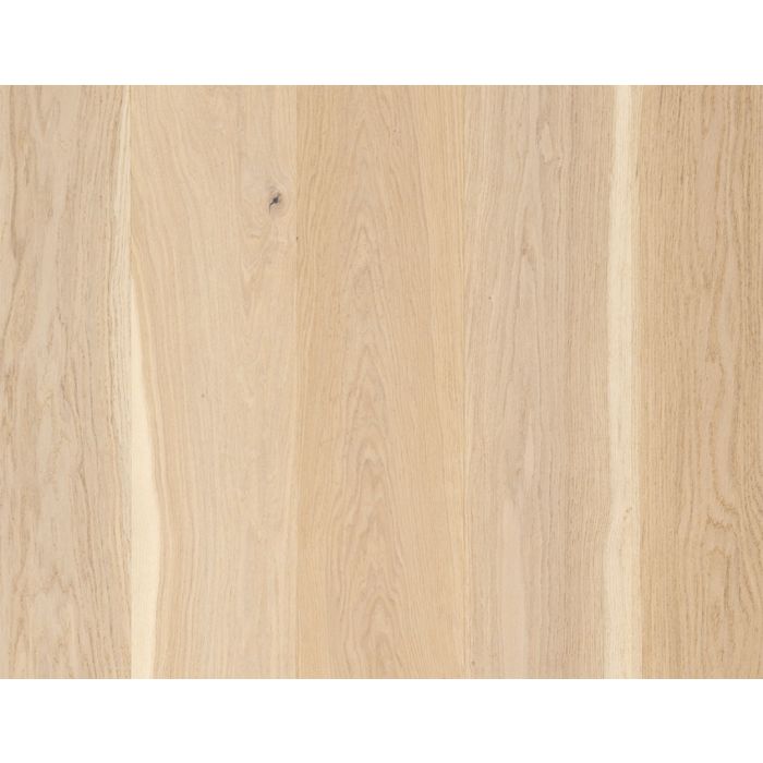 MONROE BISQUE, 25025, CASTILLIAN PREMIER, MULLICAN