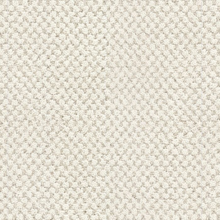 Masland La Parade Antique Lace Carpet - 9716-719