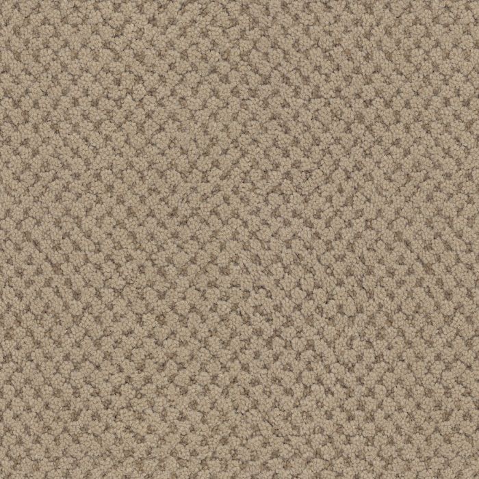 Masland La Parade Bistre Carpet - 9716-755