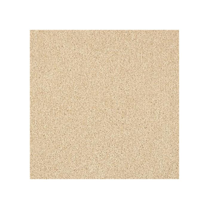 Masland Oceanside Pale Almond Carpet - 9495-516