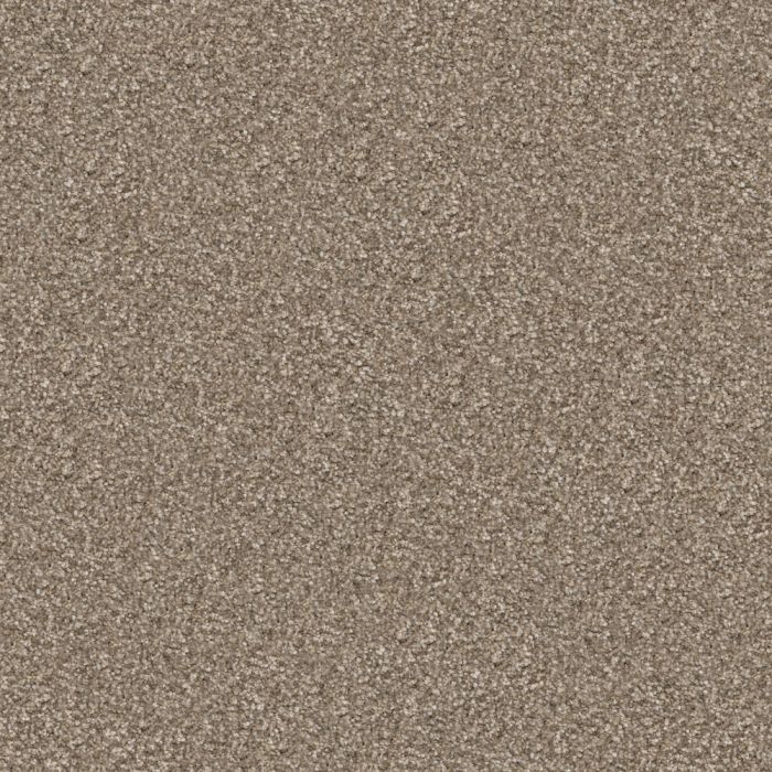Masland Tracker Shiloh Carpet - 9692-882