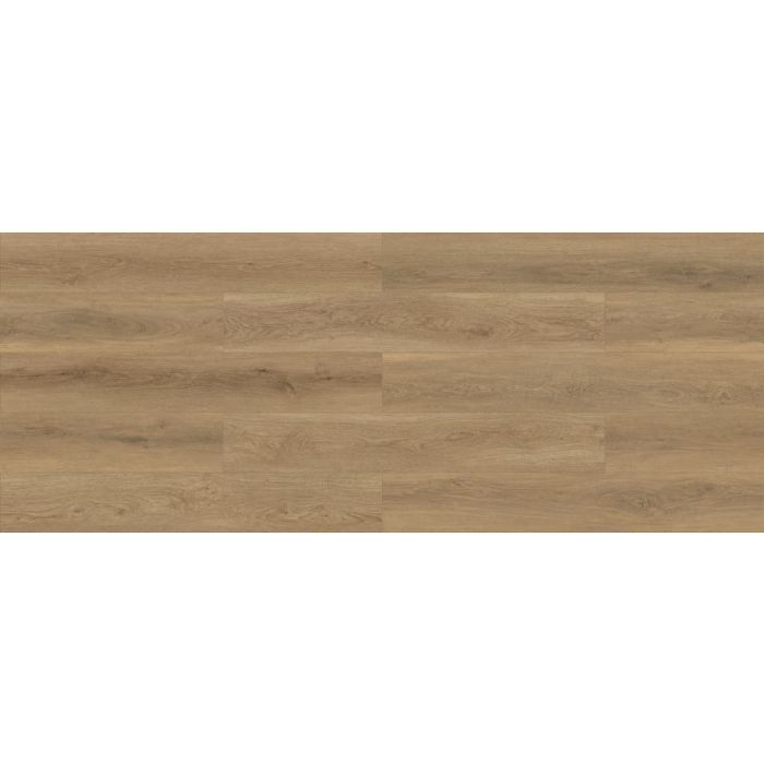 Megaclic Newport MCDN-8709 — close-up plank, overhead view