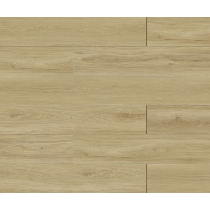 Megaclic Newton MCAS-3208 — close-up plank, overhead view