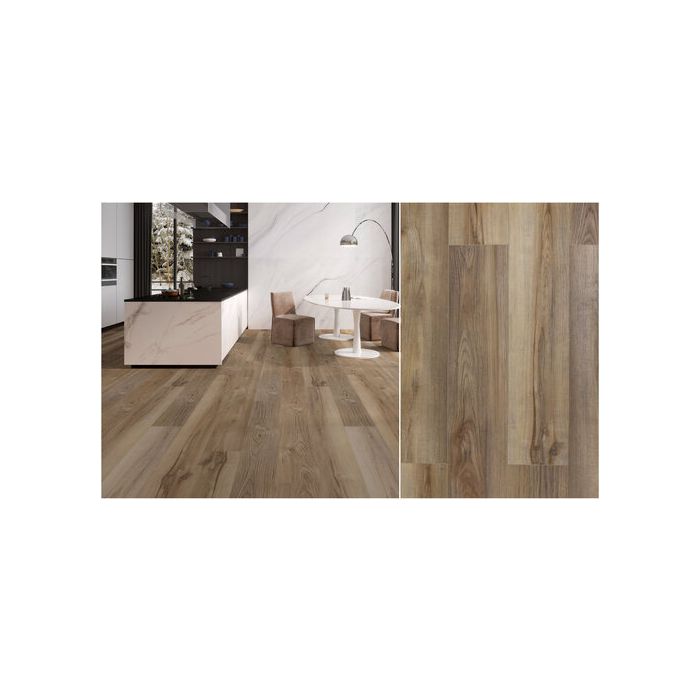 NOBLE FAWN, VICTORUM SPC COLLECTION, MONTSERRAT