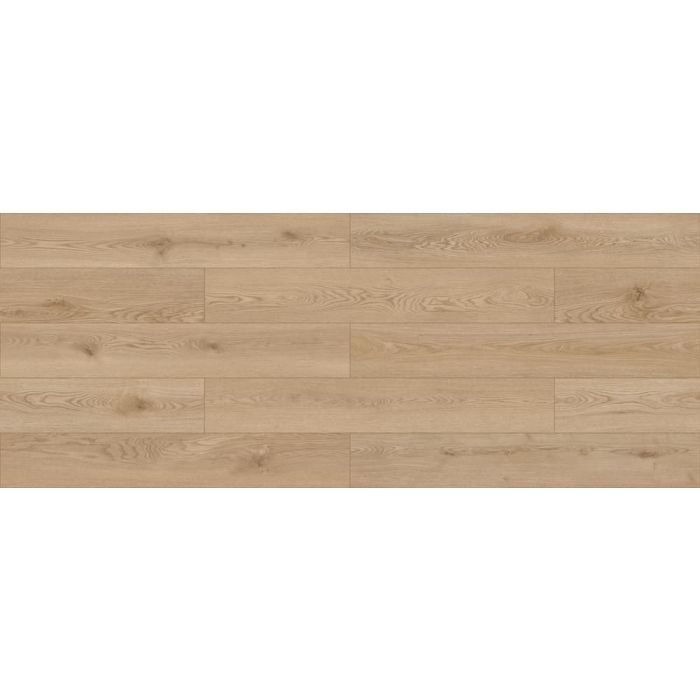 Megaclic Palmier MCDN-8707 — close-up plank, overhead view