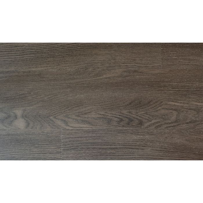 MOCHA, PPSPC1208, PARADIGM PERFORMER COLLECTION