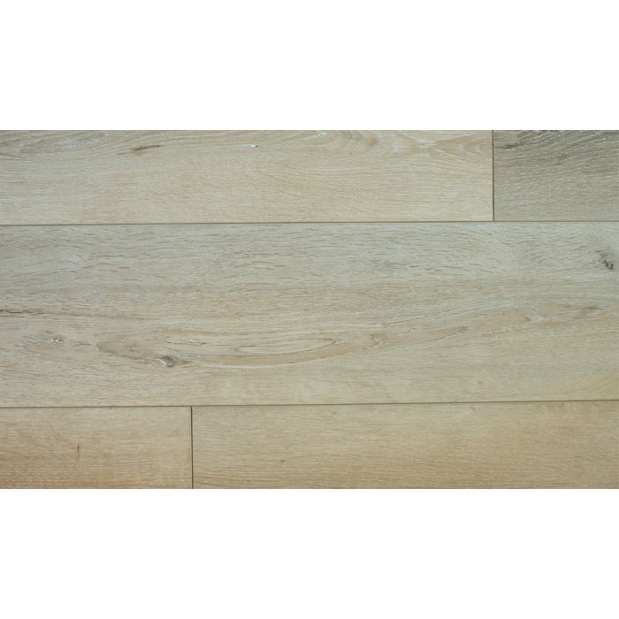 IVORY, PPSPC1209, PARADIGM PERFORMER COLLECTION