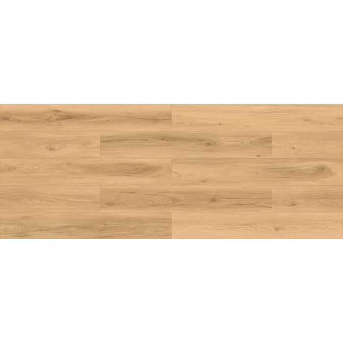 Megaclic Prince MCDN-8710 — close-up plank, overhead view