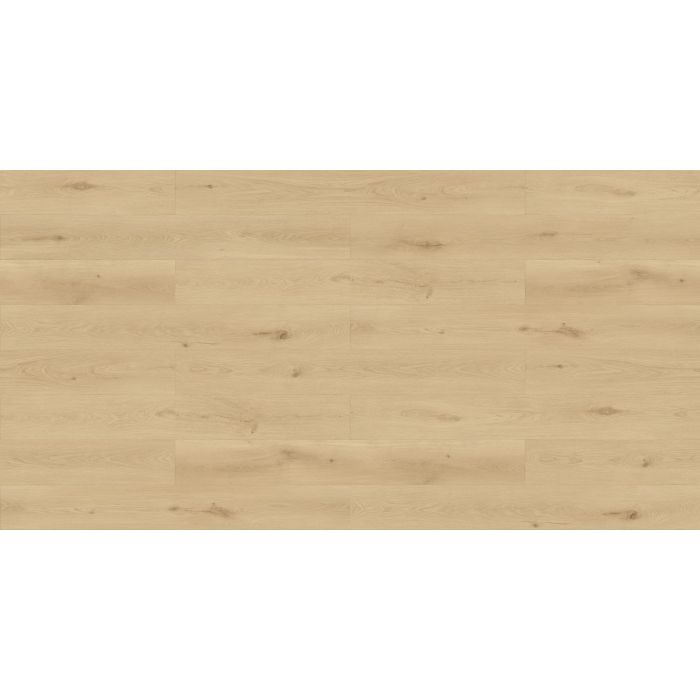 Megaclic Sanara MCST-2306 — close-up plank, overhead view