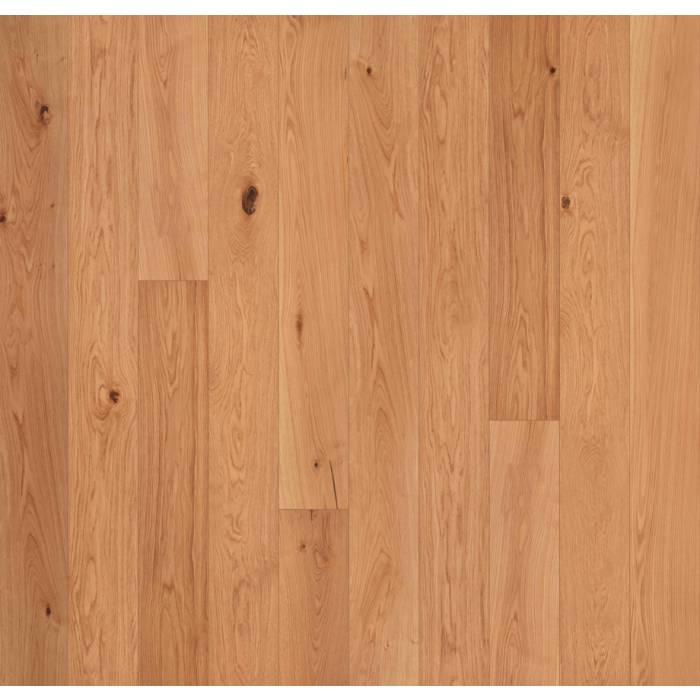 GARRISON, STRADA, GFALO7506, ALLORA COLLECTION