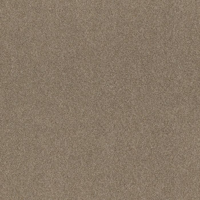 Shaw ACROSS THE BAY Canoe Carpet - SH-043PT-00773