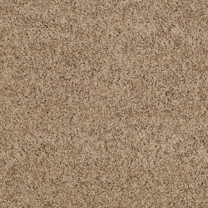 Shaw AG TIMELESS Top Soil Carpet - SH-0A532-00722