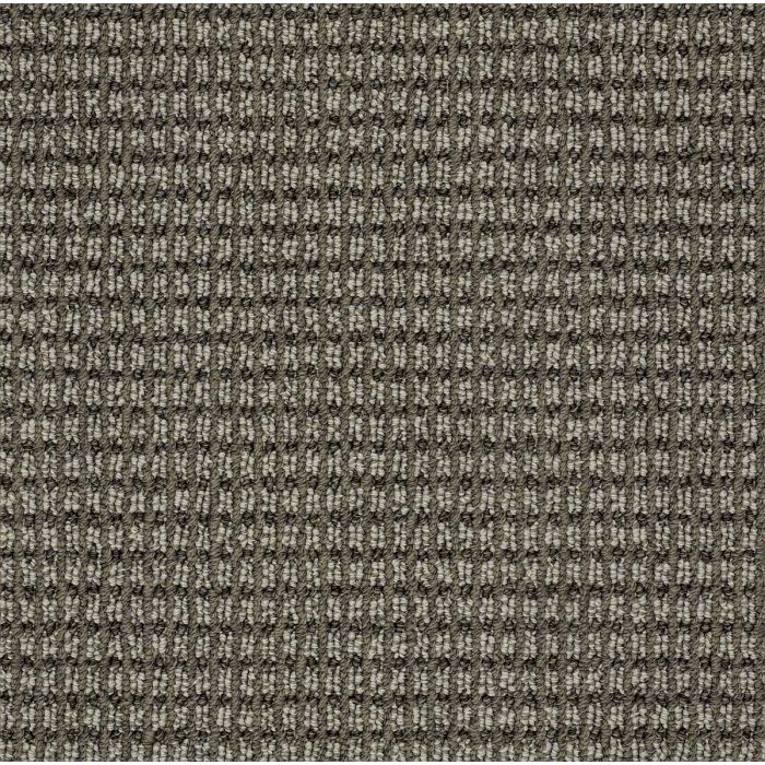 Shaw CABRIO Stylish Gray Carpet - SH-310MT-00573