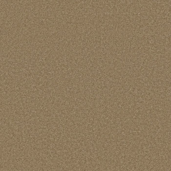 Shaw GRAND IMAGE III Twig Carpet - SH-5351G-00702