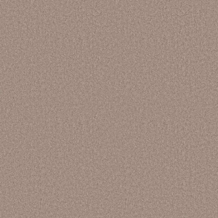 Shaw DYERSBURG II 15' Plaster Carpet - SH-53856-55752