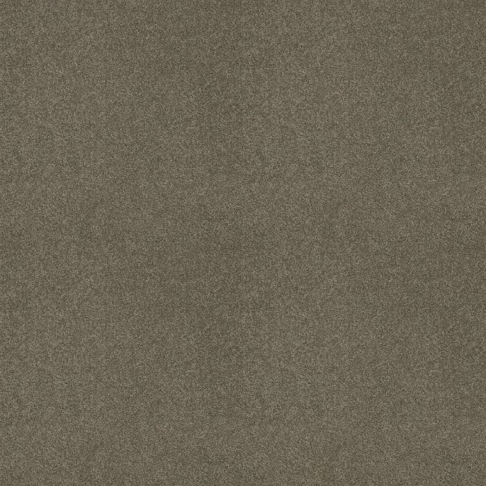 Shaw MY DESTINATION III Grey Flannel Carpet - SH-5C777-00501