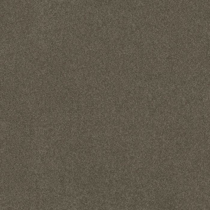 Shaw OPPORTUNITY KNOCKS Stone Hearth Carpet - SH-5C788-00703