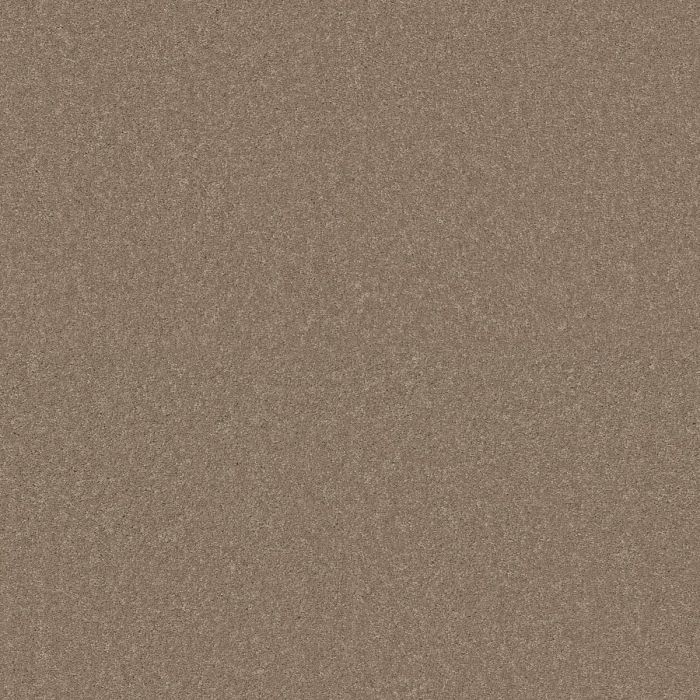 Shaw MOMENT OF TRUTH Havana Carpet - SH-5C789-00701