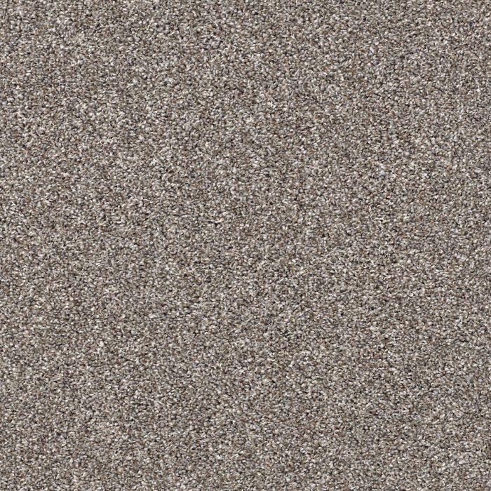 Shaw AFTER IT I Tree House Carpet - SH-5E257-00700