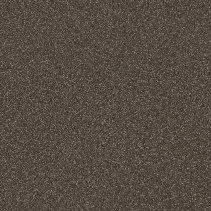 Shaw HARD AT PLAY III 12' Urban Rustic Carpet - SH-5E559-00708