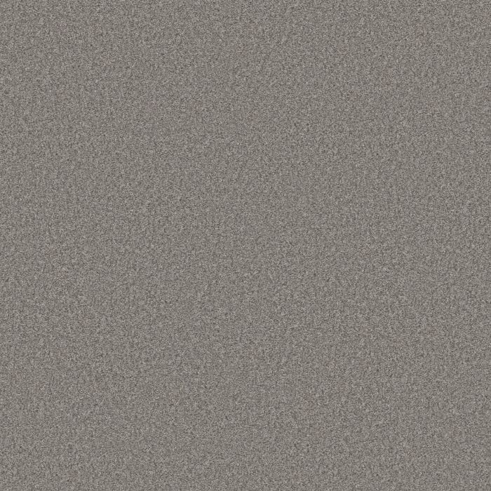 Shaw YOU GOT THIS II Vintage Carpet - SH-5E561-00509
