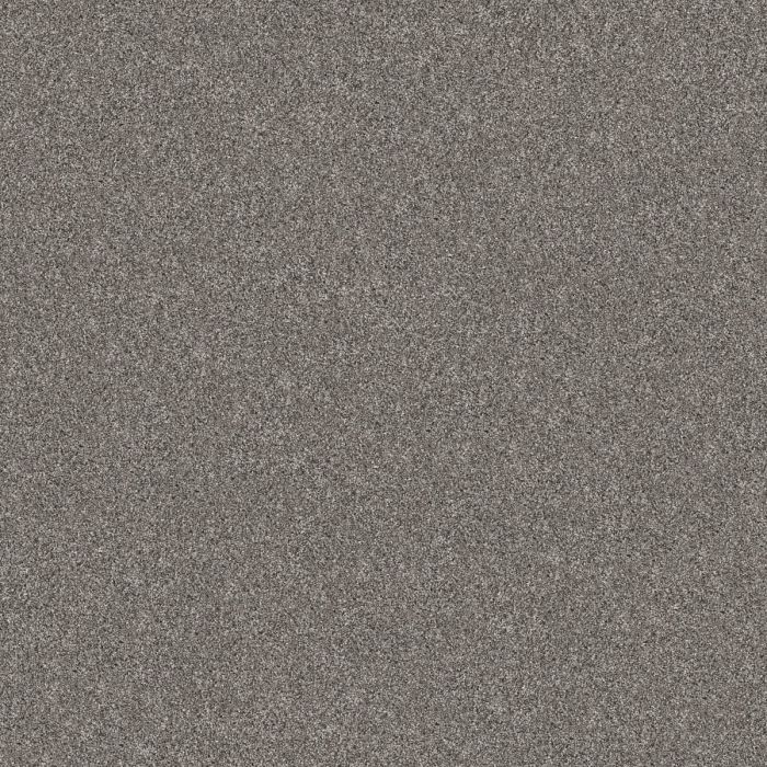 Shaw YES YOU CAN III 15' Vintage Carpet - SH-5E573-00509