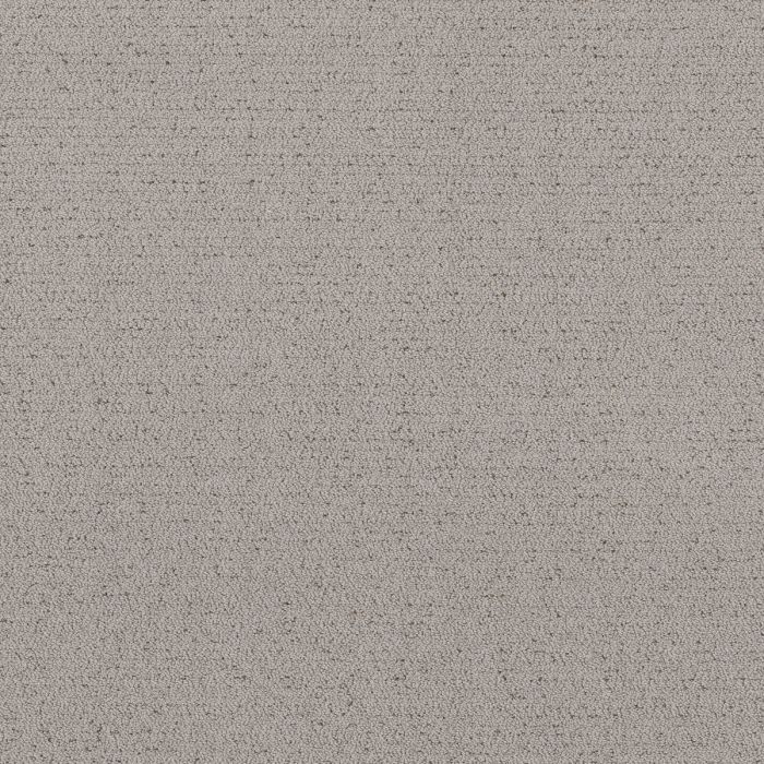 Shaw Intricate Trace Gravity Carpet - SH-5E587-00556