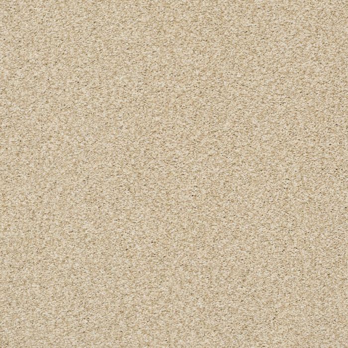 Shaw TONAL COMFORT BLUE Sun Kissed Carpet - SH-5E658-00110