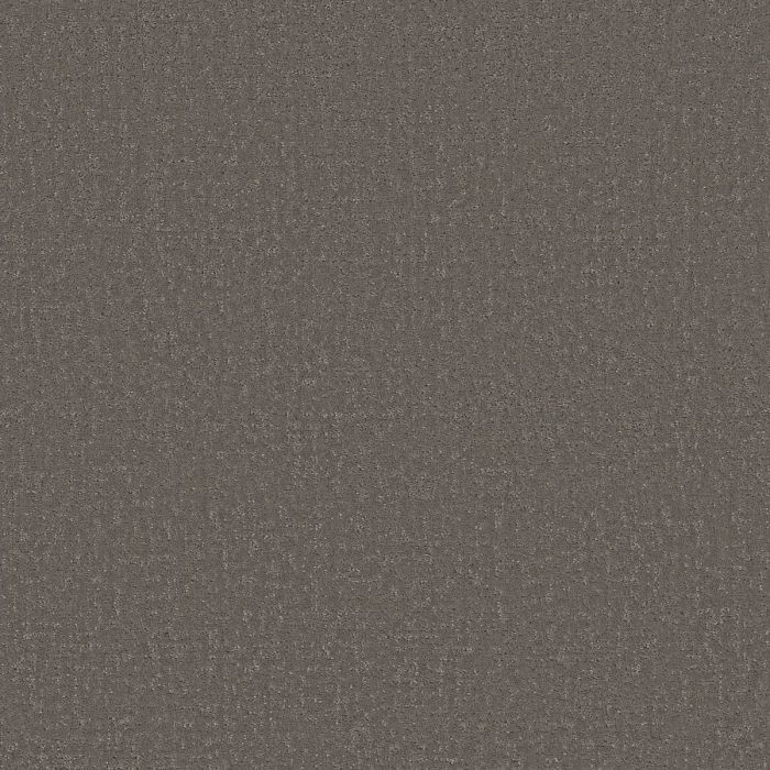 Shaw CANVAS COMFORT BLUE French Market Carpet - SH-5E660-00752