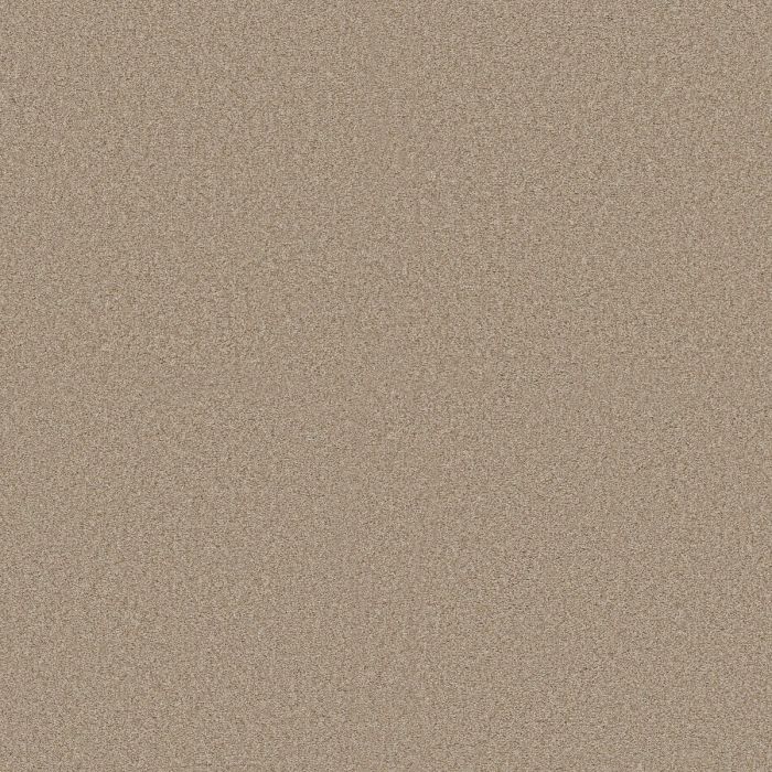Shaw COMFORTING II Picket Fence Carpet - SH-5E750-00731
