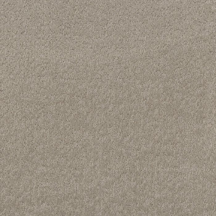 Shaw CLEVER BLEND Chic Greige Carpet - SH-5E810-00111