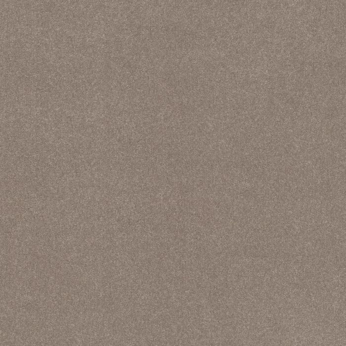 Shaw EASY SPIRIT I 12' Treebark Carpet - SH-5E864-00700