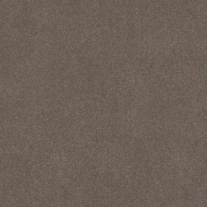 Shaw EASY SPIRIT I 12' Pewter Carpet - SH-5E864-00701