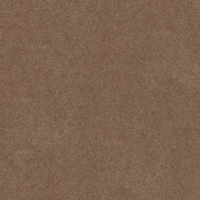 Shaw EASY SPIRIT III 12' Bungalow Carpet - SH-5E866-00711