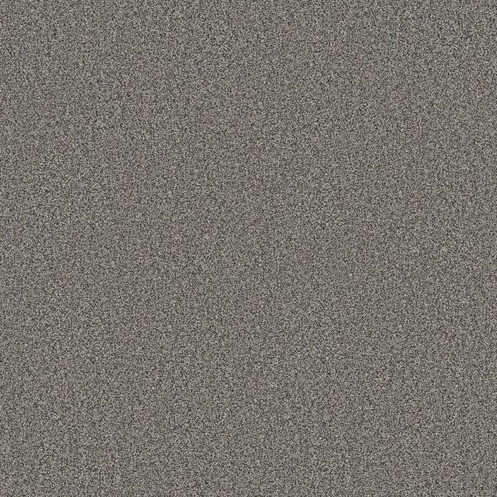 Shaw TIMELESS TONE After Dark Carpet - SH-5E916-00706