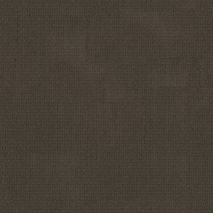 Shaw SAN SALVADOR Woodridge Carpet - SH-812MT-00779