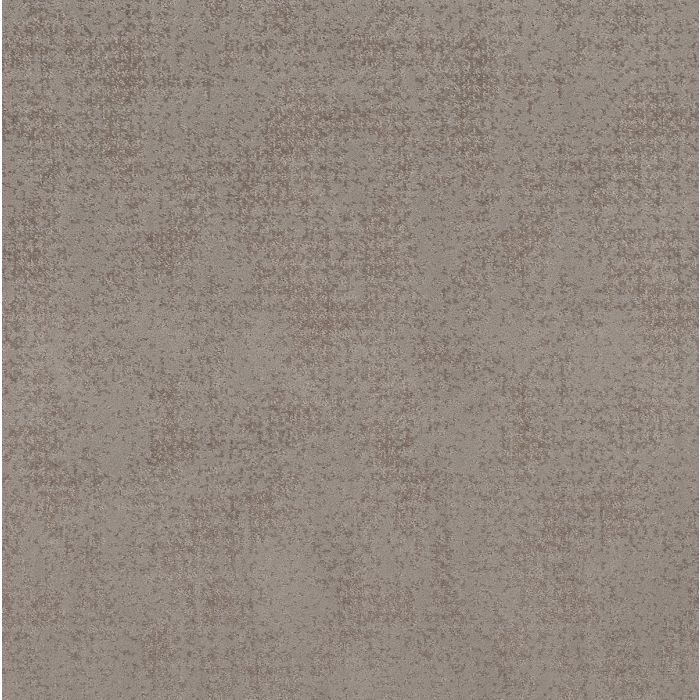Shaw ARTISTIC PRESENCE Stucco Carpet - SH-CC73B-00724