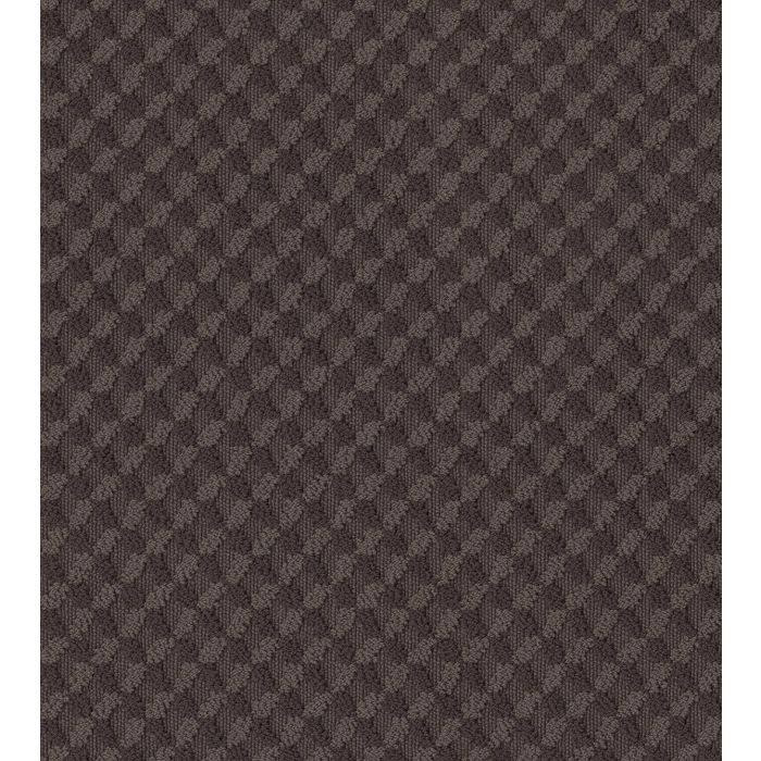 Shaw INSPIRED DESIGN Burma Brown Carpet - SH-CC81B-00752