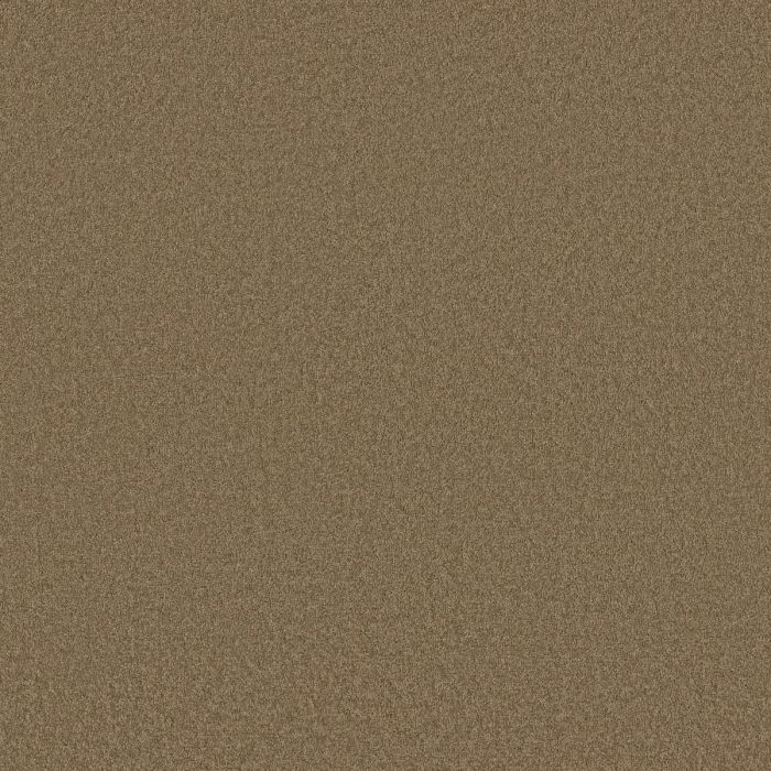 Shaw MAGIC AT LAST I 12' Wheat Grass Carpet - SH-E0200-00341