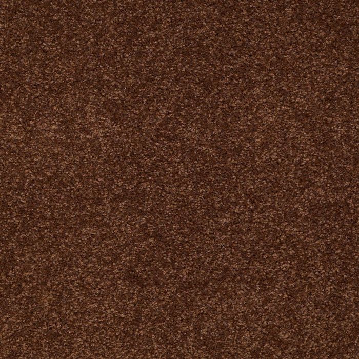Shaw MAGIC AT LAST I 15' Cocoa Carpet - SH-E0234-00707