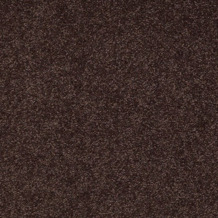 Shaw MAGIC AT LAST I 15' Dark Chocolate Carpet - SH-E0234-00708