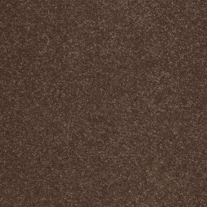 Shaw SANDY HOLLOW CLASSIC II 12 Wooden Box Carpet - SH-E0550-00721