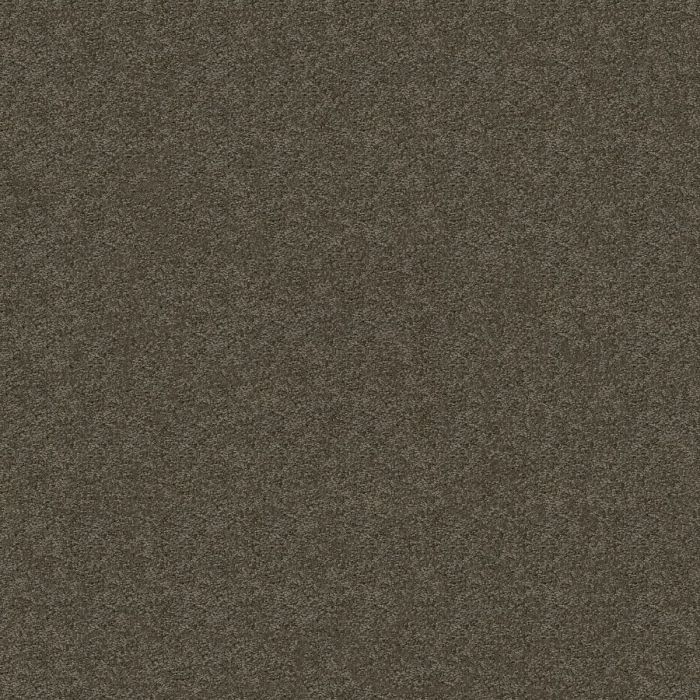 Shaw PARLAY Mink Carpet - SH-E0811-00753