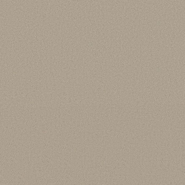 Shaw SOMETHING SWEET Marble Carpet - SH-E0881-00113