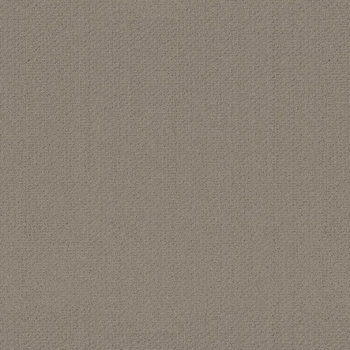 Shaw INFALLIBLE INSTINCT Park Avenue Carpet - SH-E9721-00770