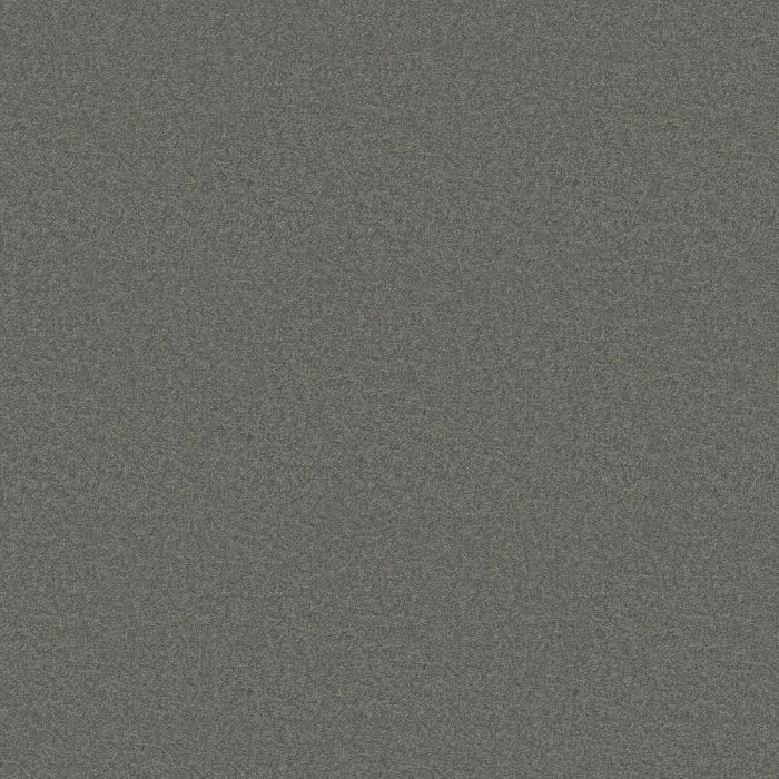 Shaw CORNER CAFE 12' Slate Carpet - SH-EA037-00502